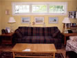 Triple transom windows placed above the couch are the focal point in this light & bright living room